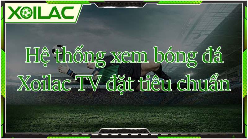 Hệ thống chức năng xem bóng đá brittanybrave.com đặt tiêu chuẩn Hệ thống chức năng xem bóng đá brittanybrave.com đặt tiêu chuẩn