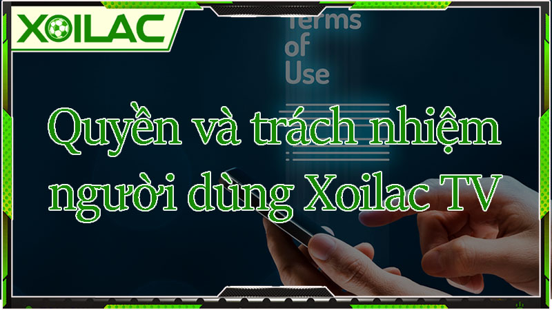 Điều khoản sử dụng về trách nhiệm và quyền của người dùng