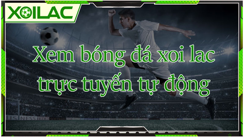 Xem bóng đá trực tuyến tự động tại brittanybrave.com Xem bóng đá trực tuyến tự động tại brittanybrave.com